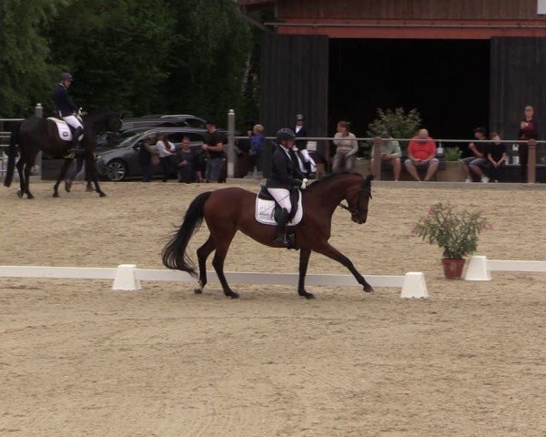 Reitturnier Uder, Reitanlage Kobold 2025