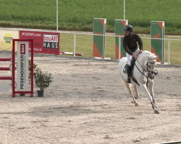 Springturnier Seewalchen 2025