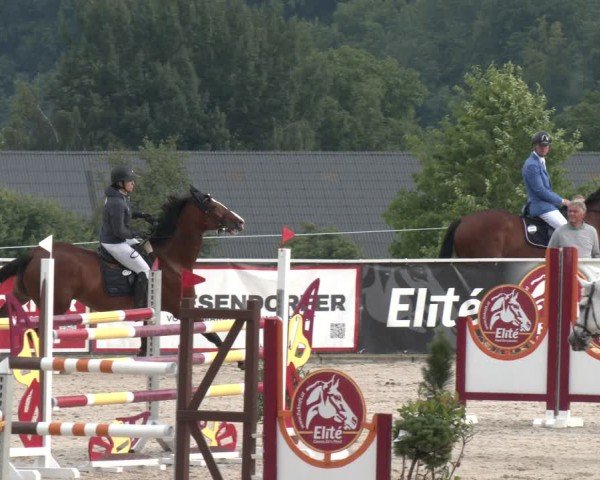 Springturnier Seewalchen 2025