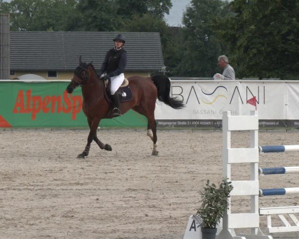 Springturnier Seewalchen 2025