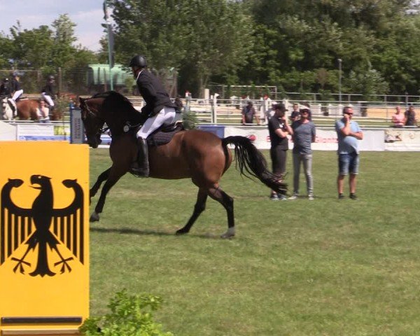Reitturnier Dersekow 2025