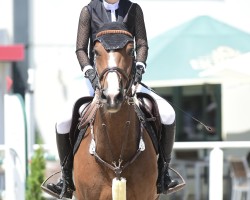 Springpferd It's Dayenna (Holsteiner, 2016, von Diarado)