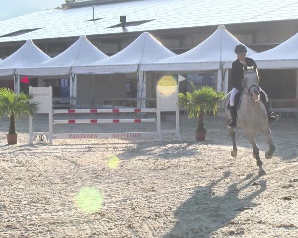 Reitturnier Balsthal 2025