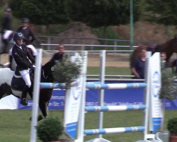Reitturnier Dersekow 2025