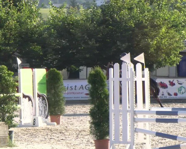 Reitturnier Balsthal 2025