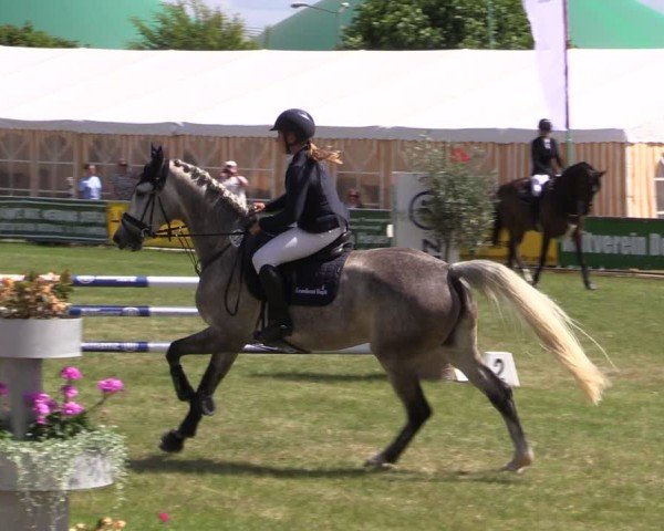 Reitturnier Dersekow 2025