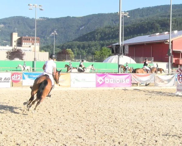 Reitturnier Balsthal 2025