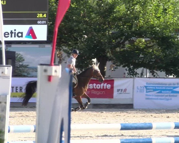 Reitturnier Balsthal 2025