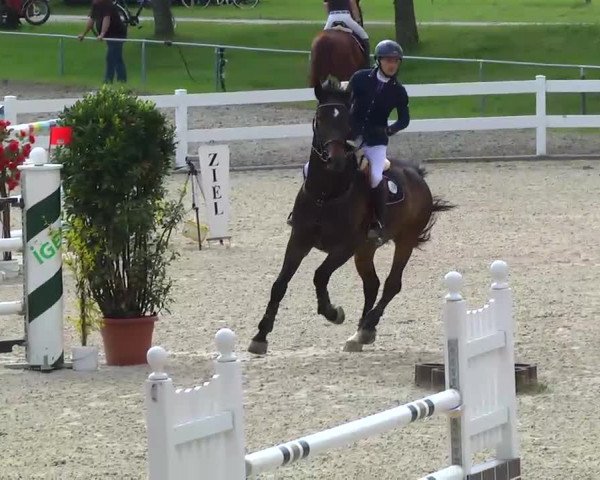 Springturnier Isny 2014
