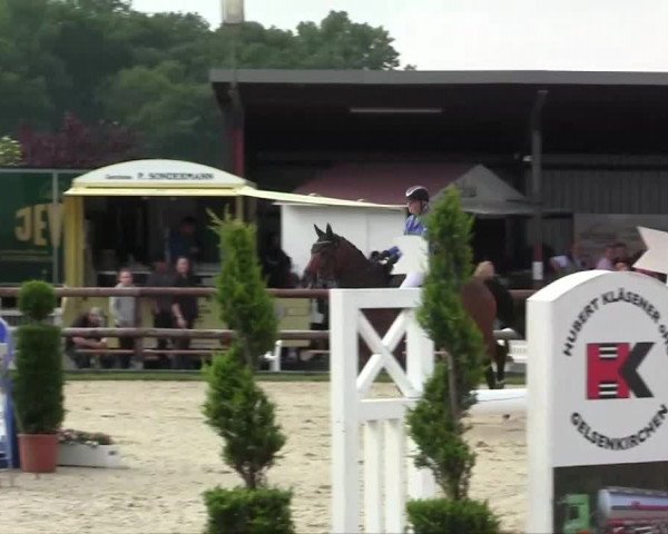 Großes Reit- und Springturnier Kirchhellen/Stall Dieckmann 2014