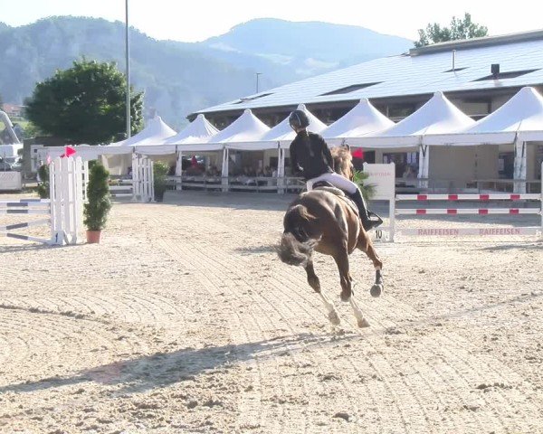 Reitturnier Balsthal 2025