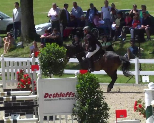 Springturnier Isny 2014