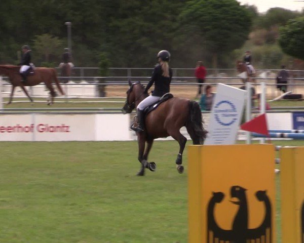 Reitturnier Dersekow 2025