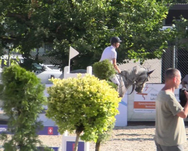 Reitturnier Balsthal 2025