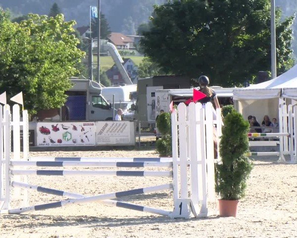 Reitturnier Balsthal 2025