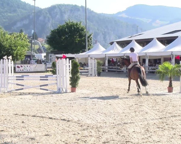 Reitturnier Balsthal 2025