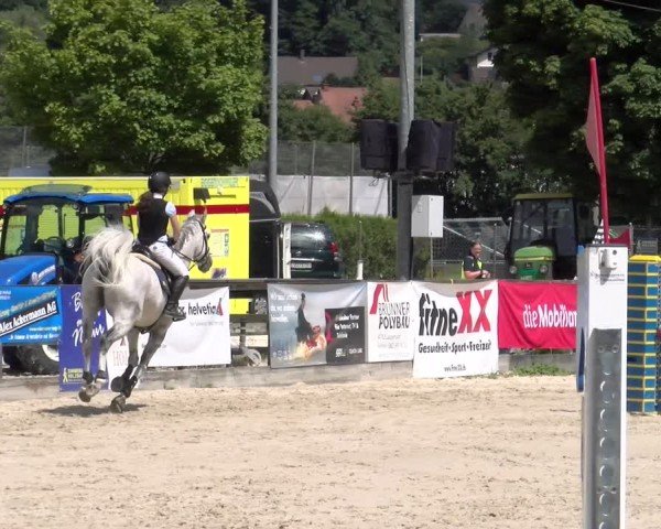 Reitturnier Balsthal 2025