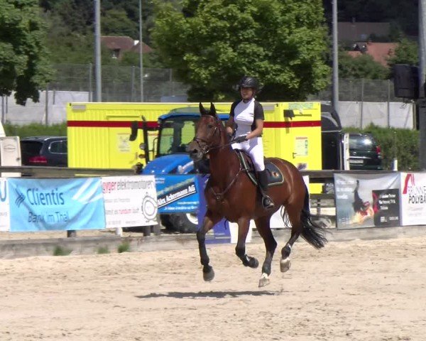 Reitturnier Balsthal 2025