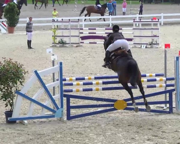 Springturnier Isny 2014