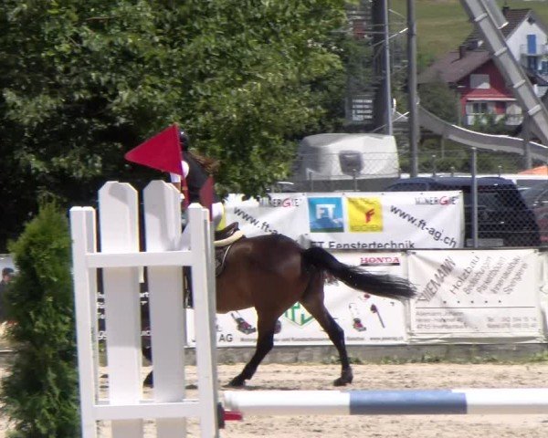 Reitturnier Balsthal 2025