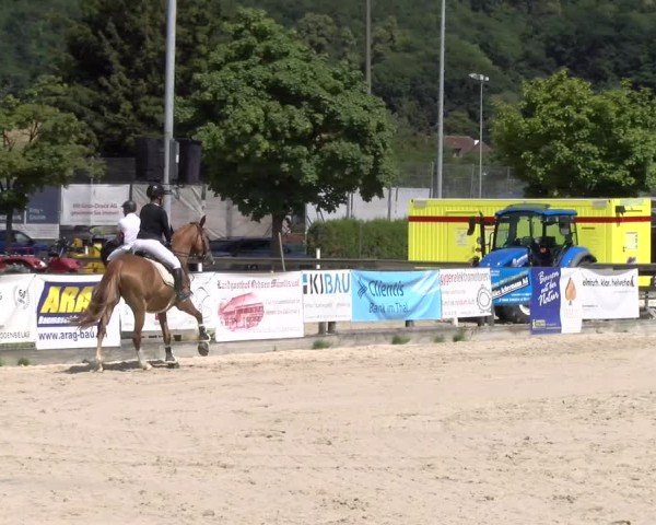 Reitturnier Balsthal 2025