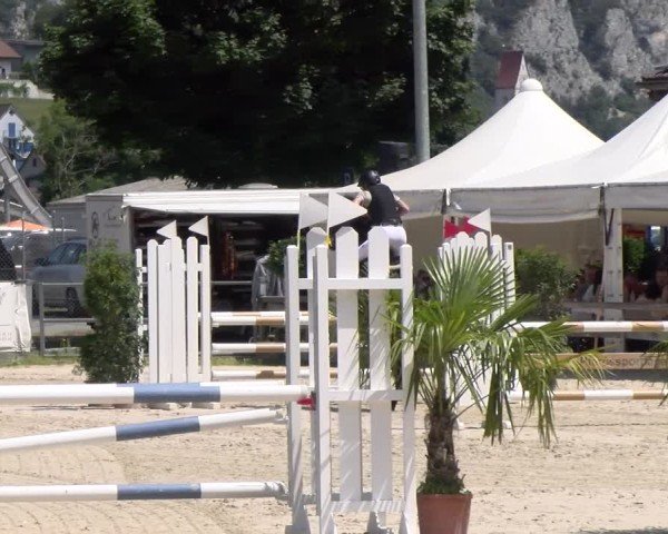 Reitturnier Balsthal 2025