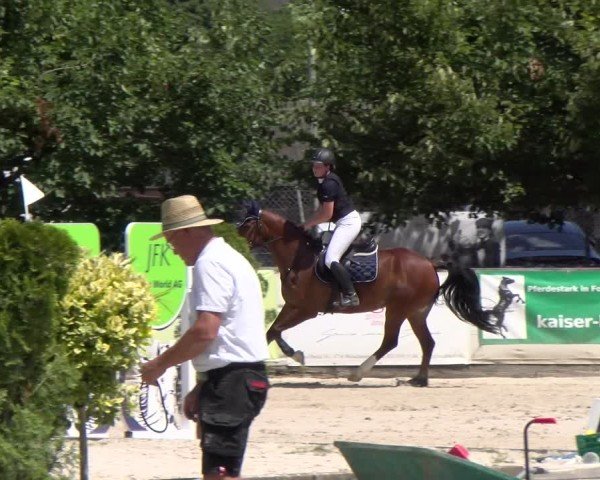 Reitturnier Balsthal 2025