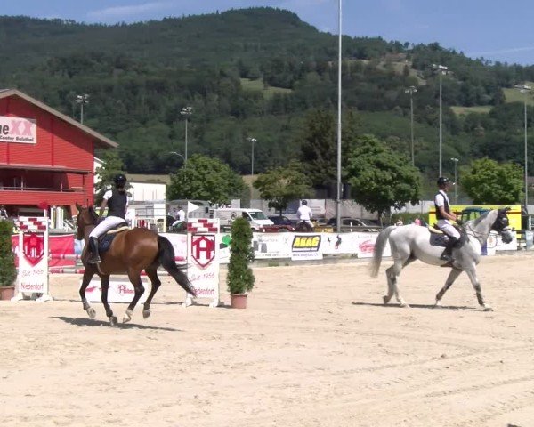 Reitturnier Balsthal 2025