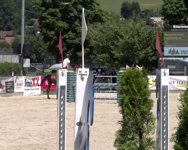 Reitturnier Balsthal 2025