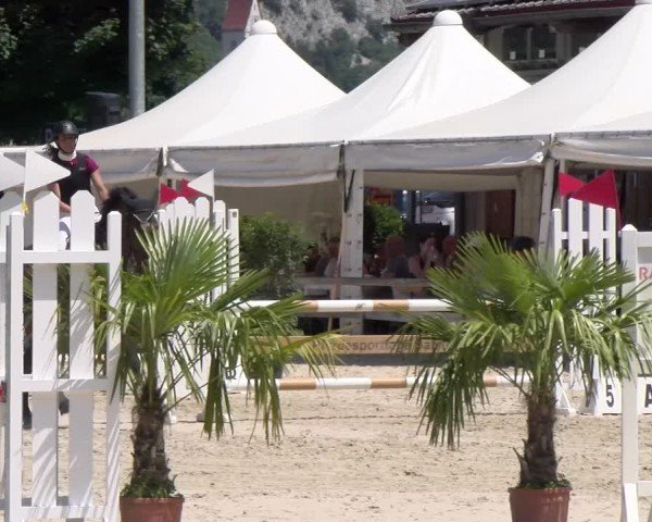 Reitturnier Balsthal 2025