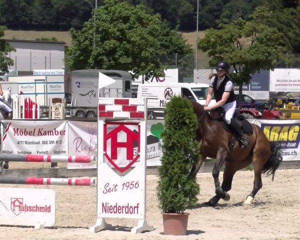 Reitturnier Balsthal 2025