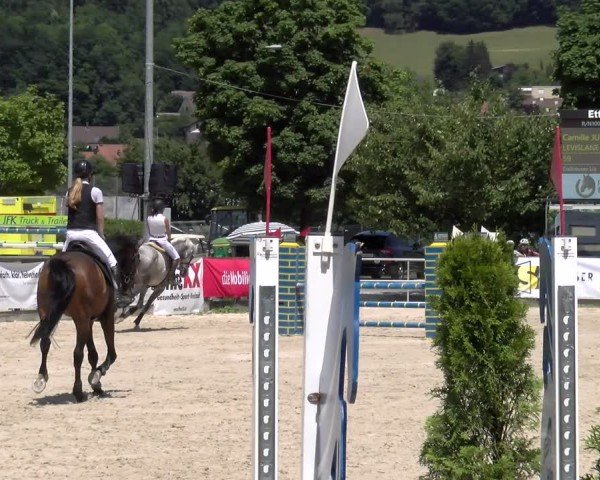 Reitturnier Balsthal 2025