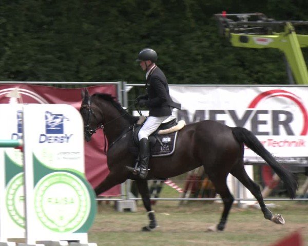 Reitturnier Wohlesbostel 2025