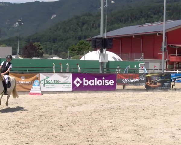 Reitturnier Balsthal 2025