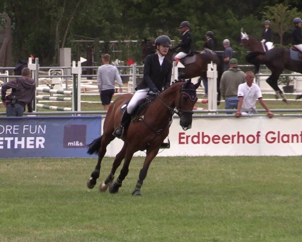 Reitturnier Dersekow 2025