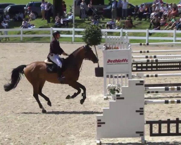 Springturnier Isny 2014