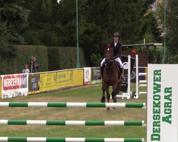 Reitturnier Dersekow 2025
