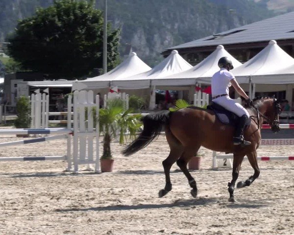 Reitturnier Balsthal 2025