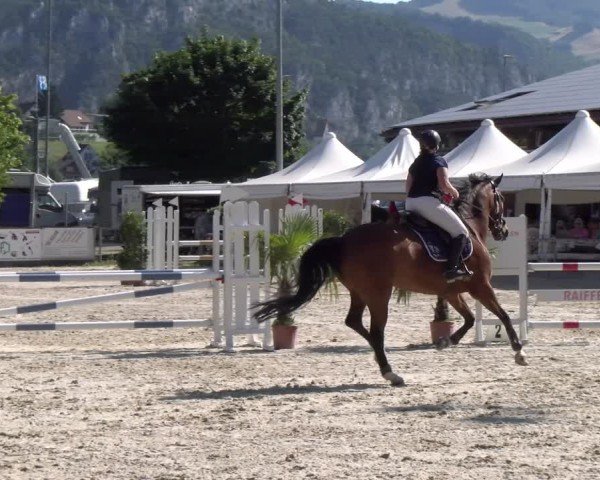 Reitturnier Balsthal 2025
