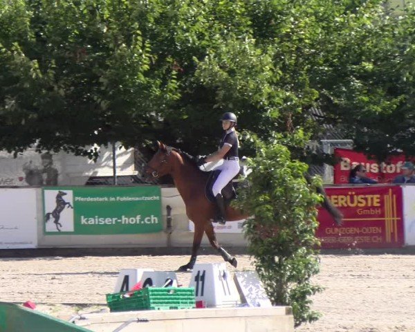 Reitturnier Balsthal 2025