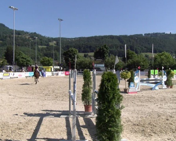 Reitturnier Balsthal 2025
