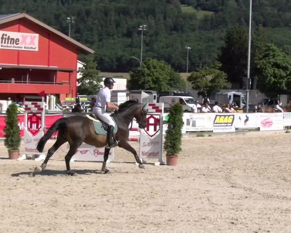 Reitturnier Balsthal 2025