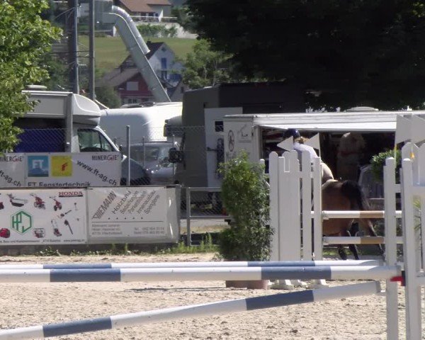 Reitturnier Balsthal 2025