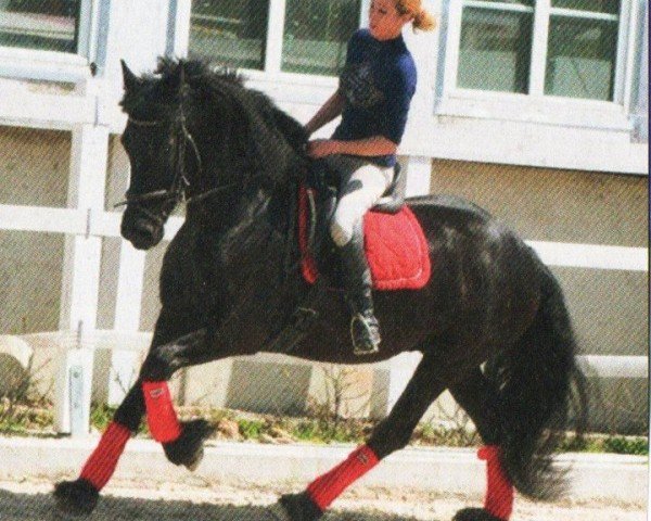 horse Diva (Friese, 2009, from Ait)