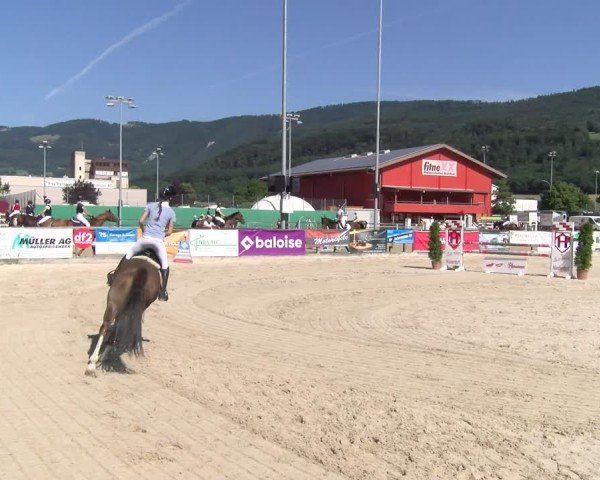 Reitturnier Balsthal 2025
