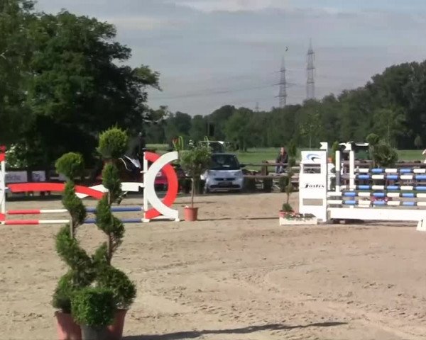 Großes Reit- und Springturnier Kirchhellen/Stall Dieckmann 2014