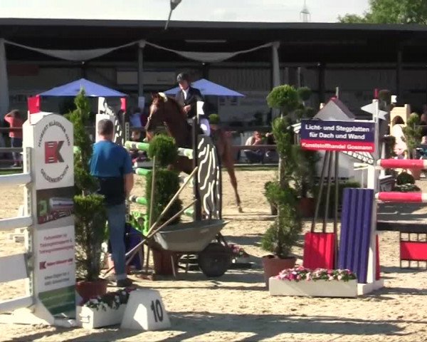 Großes Reit- und Springturnier Kirchhellen/Stall Dieckmann 2014