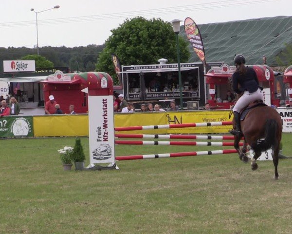 Reitturnier Dersekow 2025