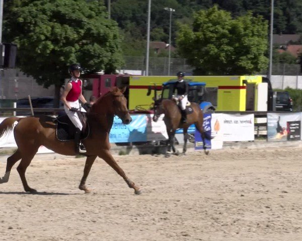 Reitturnier Balsthal 2025