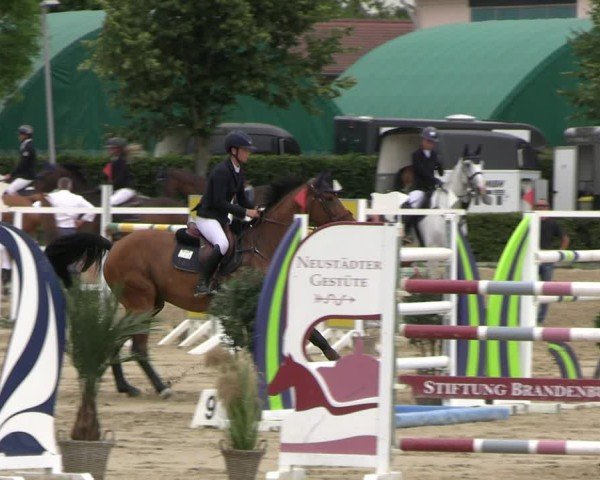 Reitturnier Neustadt/Dosse 2025